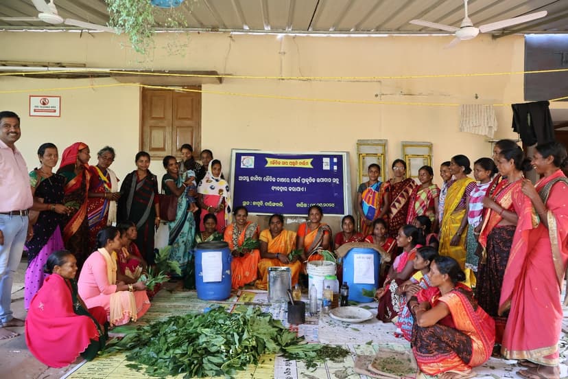 Self Help Approach in Kandhamal for Transformation and Innovation (SHAKTI) gallery image 3