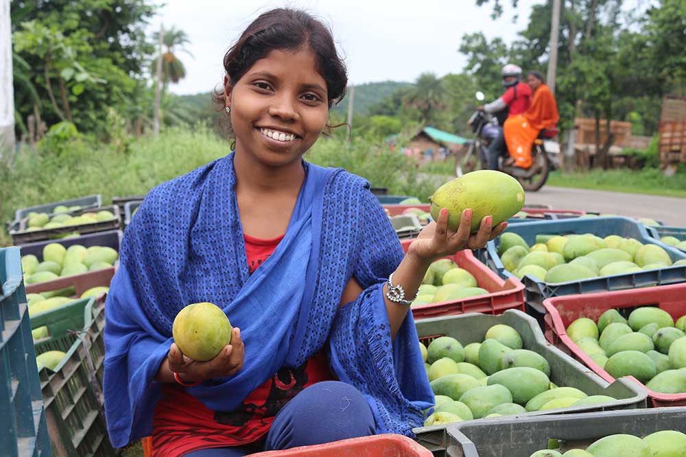Orissa Tribal Empowerment and Livelihood Programme (OTELP)