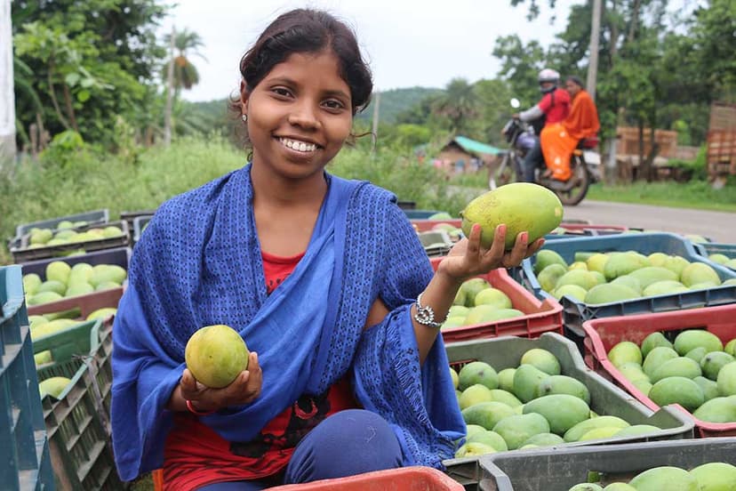 Orissa Tribal Empowerment and Livelihood Programme (OTELP)