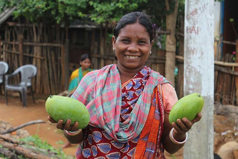 Orissa Tribal Empowerment and Livelihood Programme (OTELP) gallery image 2