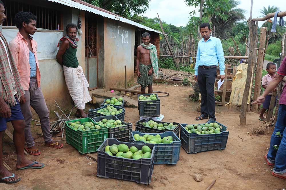 Orissa Tribal Empowerment and Livelihood Programme (OTELP)