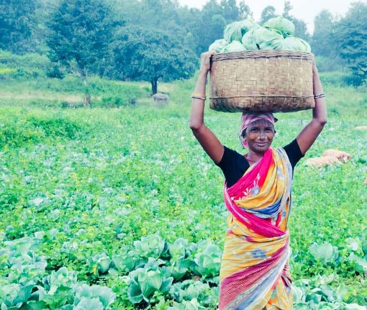 Promotion of Agriculture Production Clusters in tribal Regions of Odisha