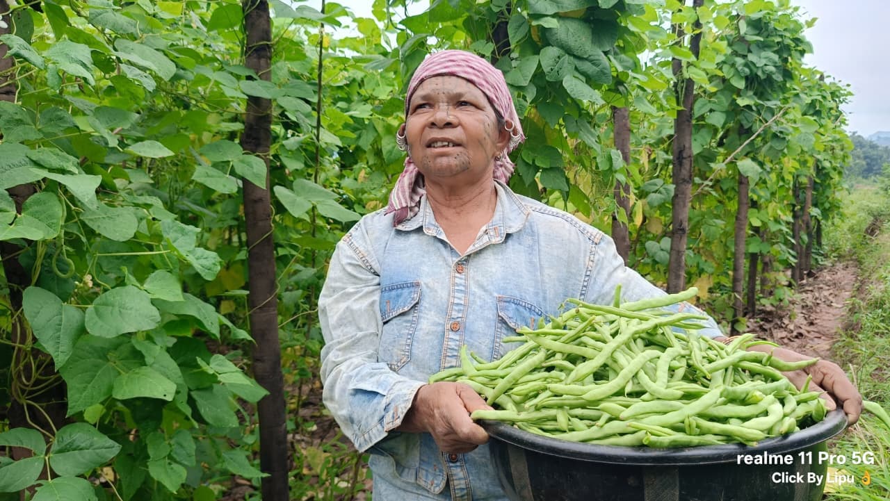 Promotion of Agriculture Production Clusters in tribal Regions of Odisha