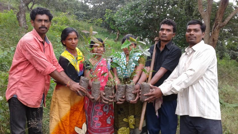 Forest Life - Strengthening community-based institution for livelihood and ecological security in Daringbadi block, Odisha gallery image 6