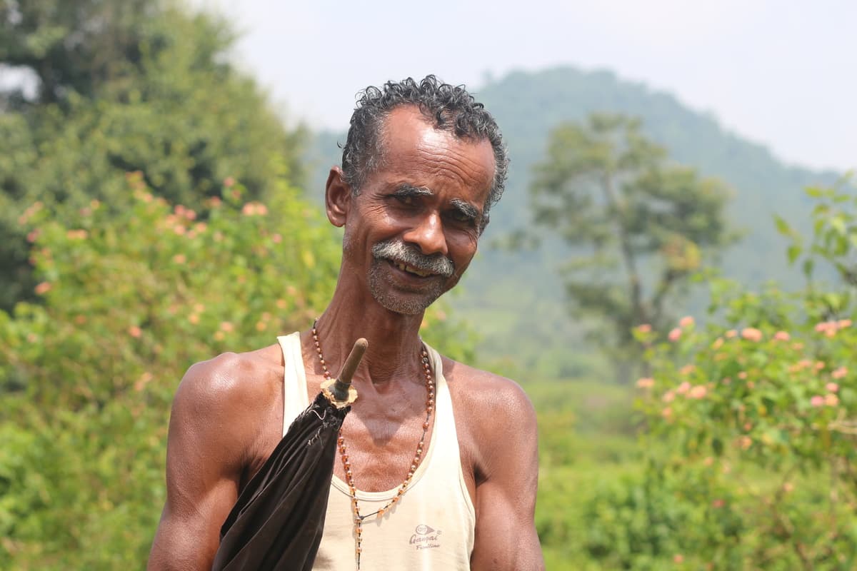 Special Millet programme in tribal areas image 3