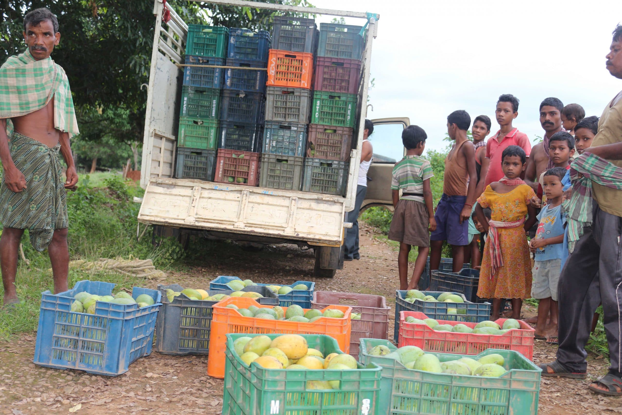 Orissa Tribal Empowerment and Livelihood Programme (OTELP)