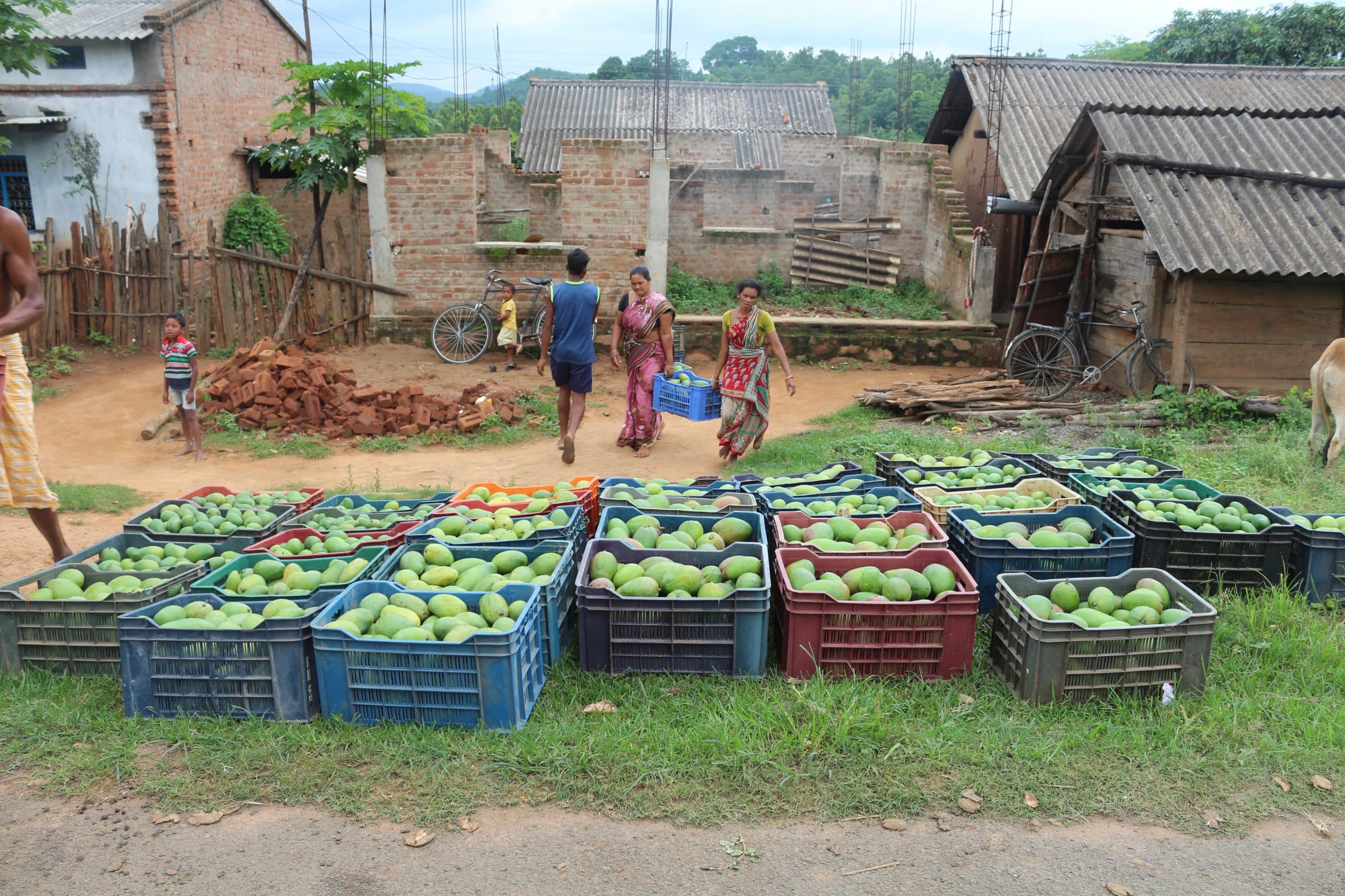 Natural Resource Management