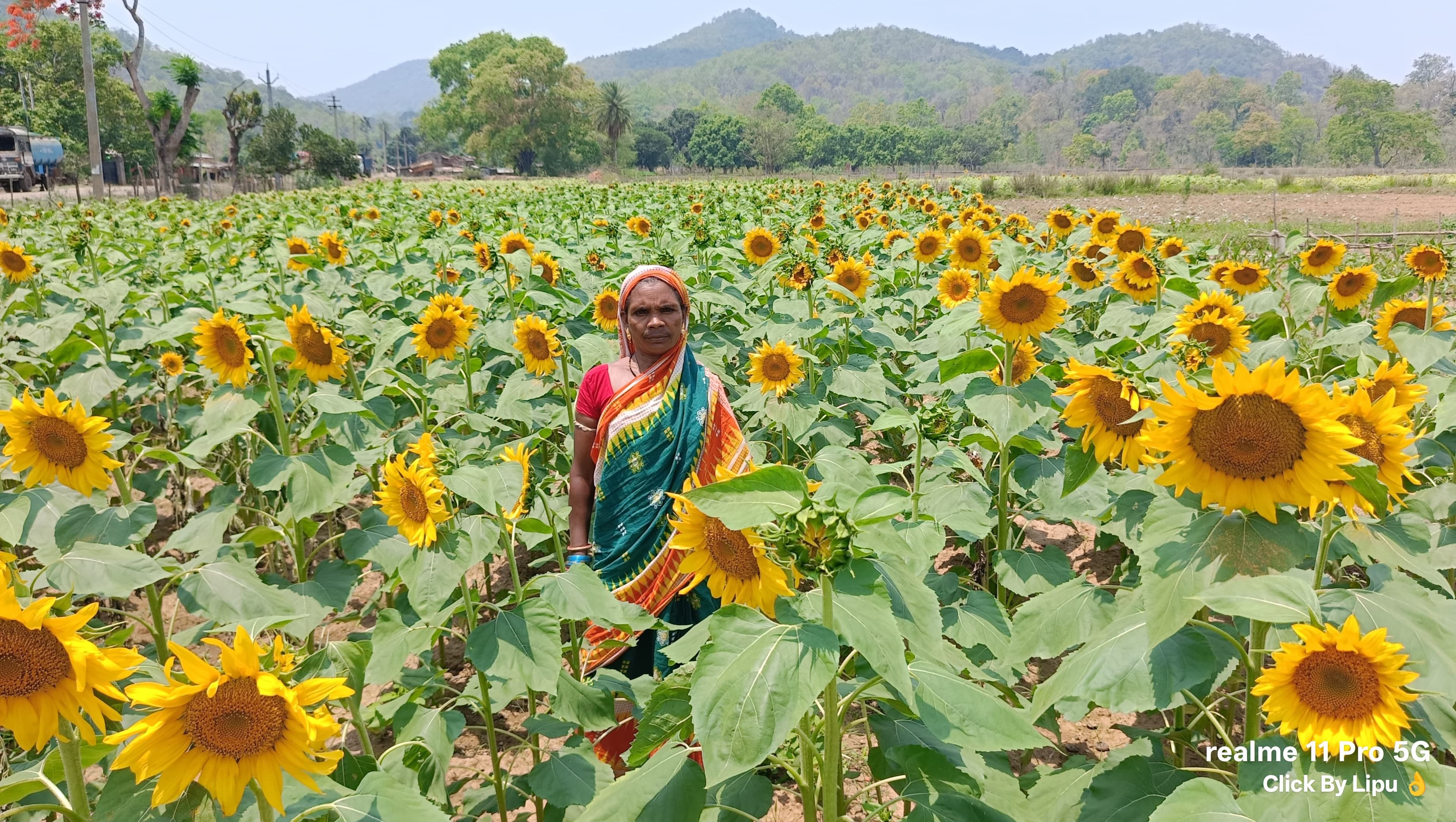 Promotion of Agriculture Production Clusters in tribal Regions of Odisha