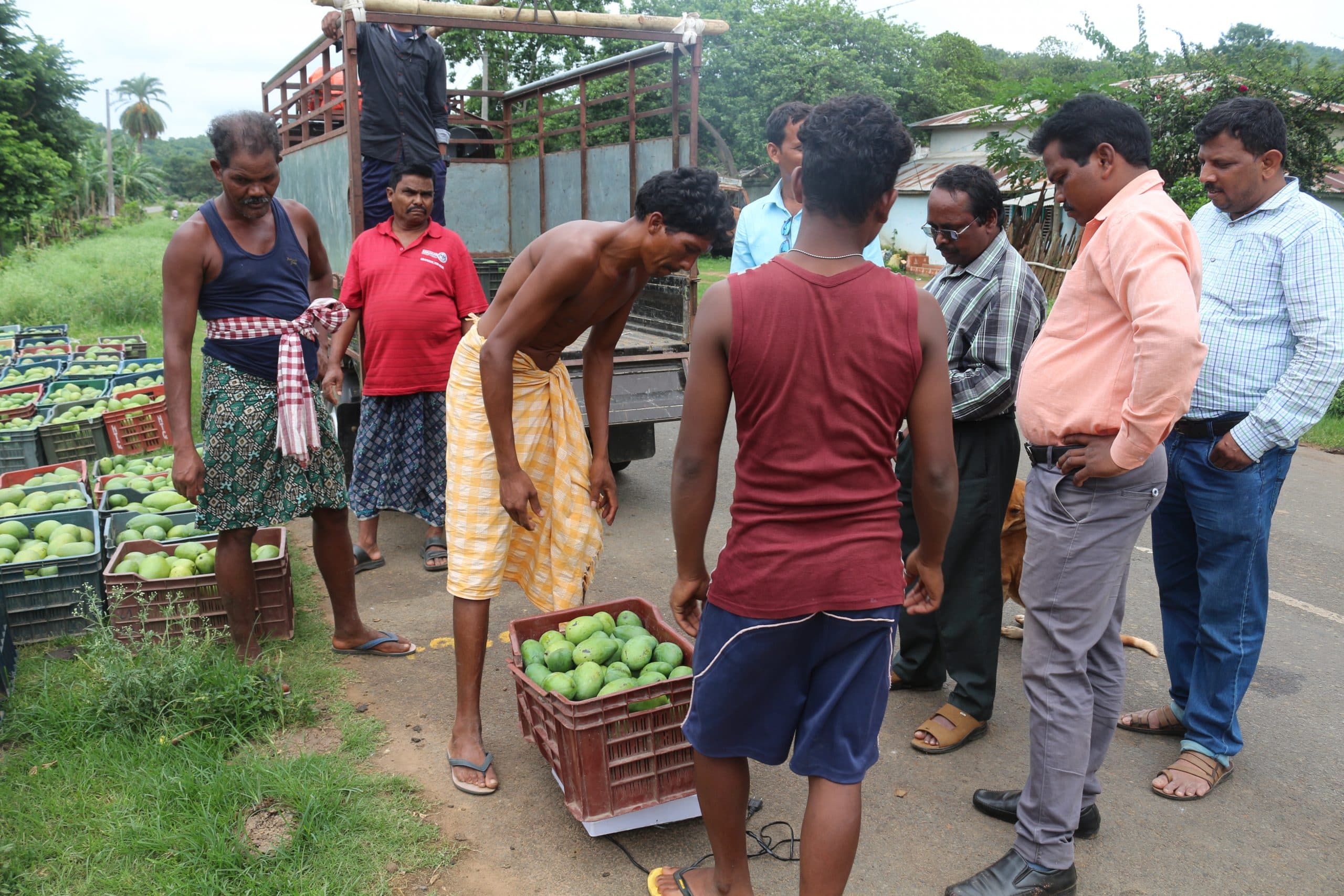 Orissa Tribal Empowerment and Livelihood Programme (OTELP)